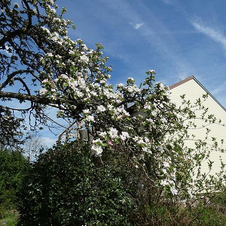 Au Val Des Meuris Bed and Breakfast Taintrux Buitenkant foto